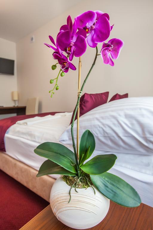 Hostel Zambrow Værelse billede
